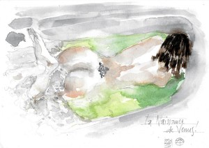 acquerelli water color venus venere la nascira di venere stella ehinar (6)      